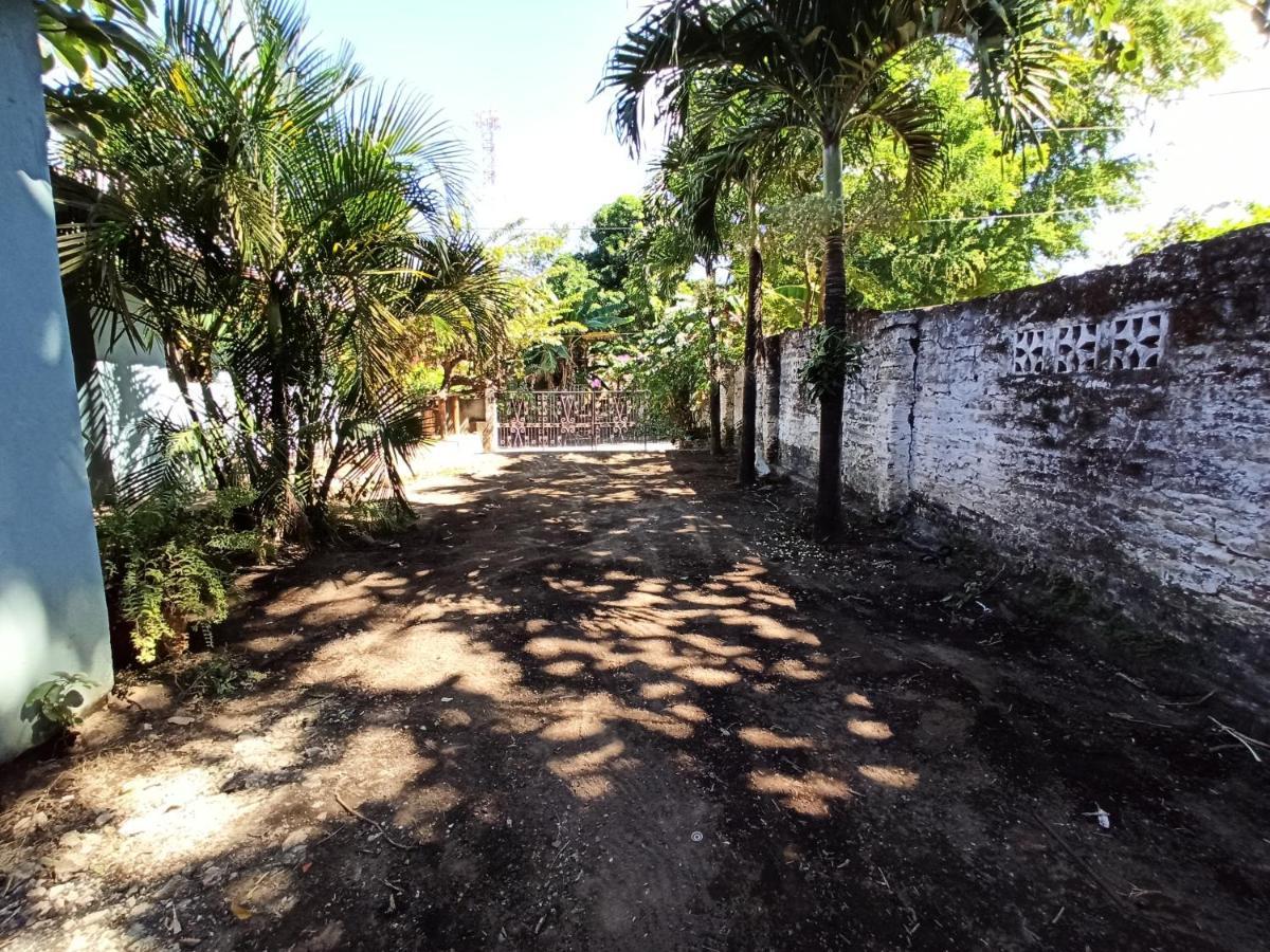 Ometepe House Bed & Breakfast Мойогалпа Екстериор снимка