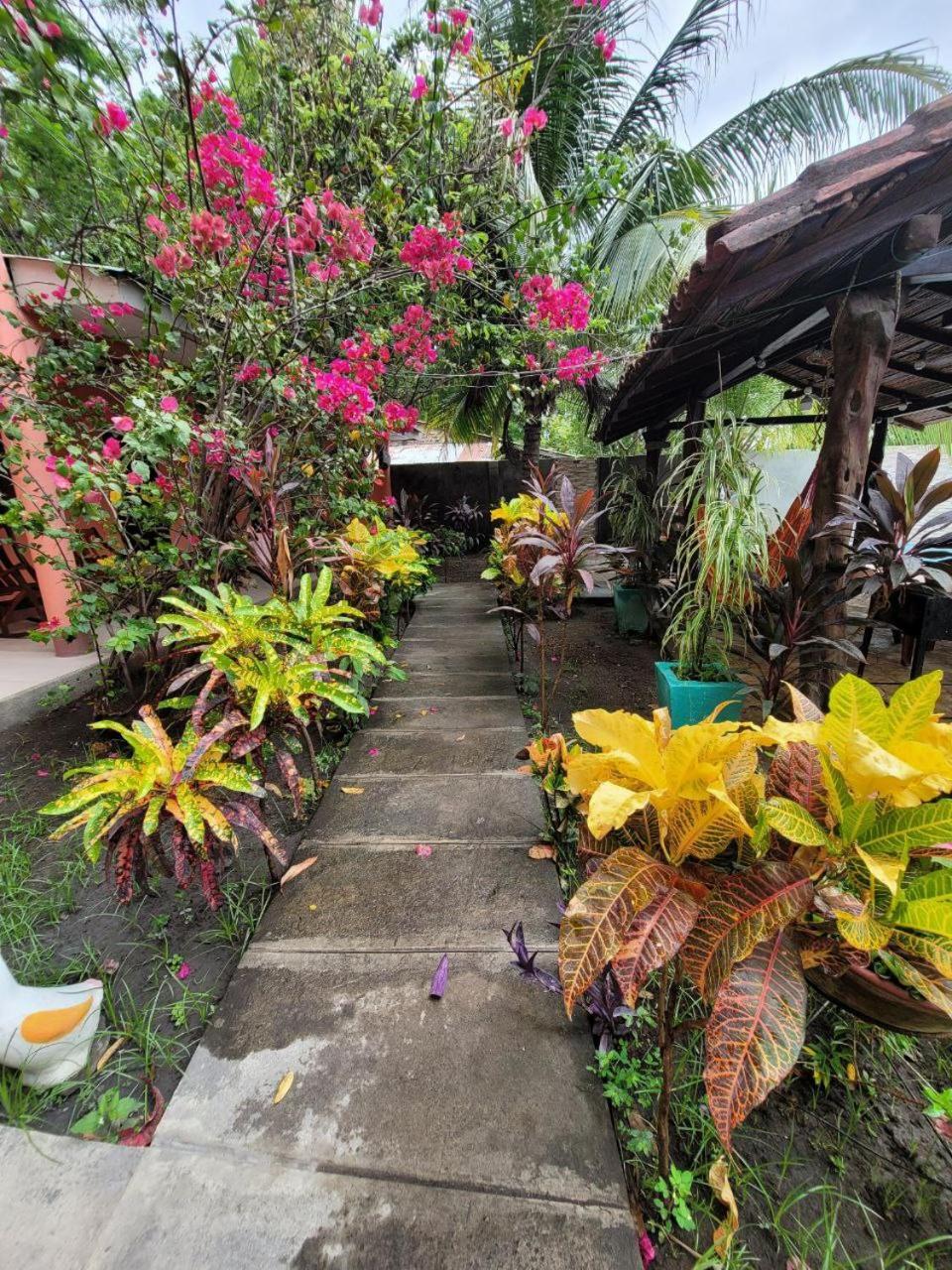 Ometepe House Bed & Breakfast Мойогалпа Екстериор снимка